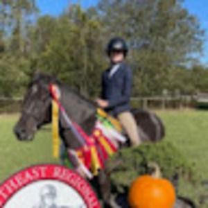 Meet your Posher, Adelaide